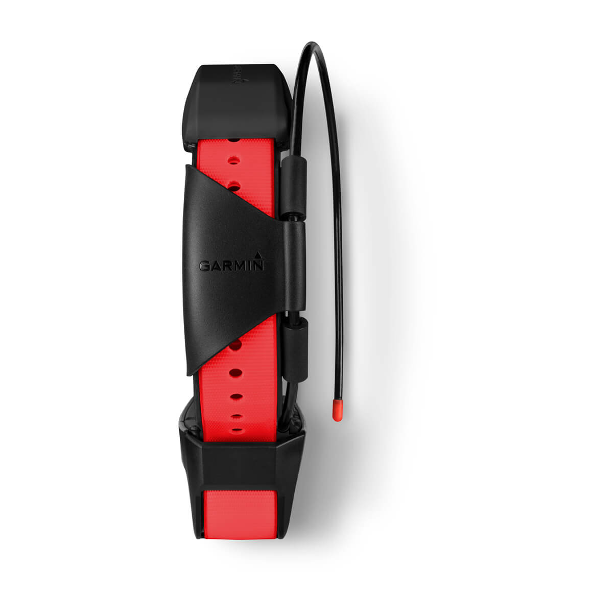TT™ 15X Dog Collar - Image 5